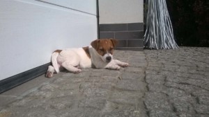 WP 20160520 08 36 36 Pro